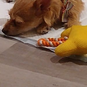 Meet your Posher, Gerard